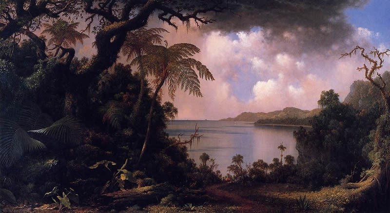 Martin Johnson Heade View from Fern-Tree Walk Jamaica